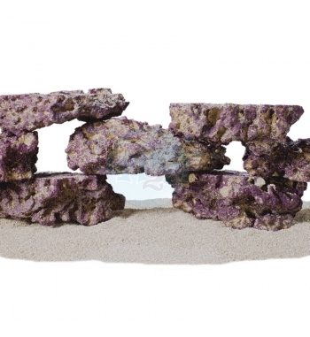 Life Rock Shelf Rock rocce