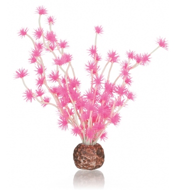 OASE BIORB sfera bonsai rosa